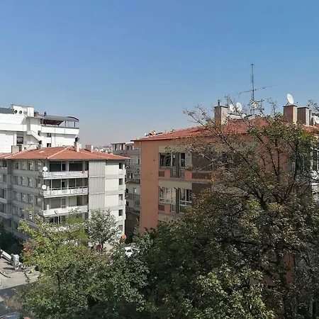 Triada 3*